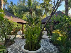 スキャリーワグスビーチクラブ 写真