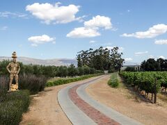 サロンズベルグ ワインヤード コテージズ 写真