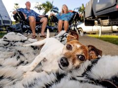 BIG4 ウィッツサンデー アイランズ ホリデーパーク 写真