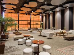 ロイヤル チューリップ ブラジリア アルボラーダ 写真