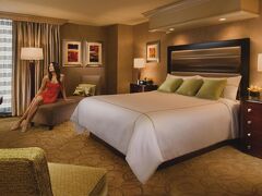 トレジャーアイランドラスベガス - TIホテル＆カジノ、ラディソンホテル 写真