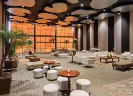 ロイヤル チューリップ ブラジリア アルボラーダ 写真