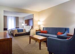 コンフォート イン & スイーツ デッドウッド 写真