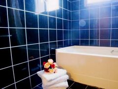 タイタン トラベラー ホテル 写真