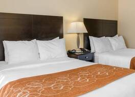 コンフォート スイーツ フレンチ リック 写真