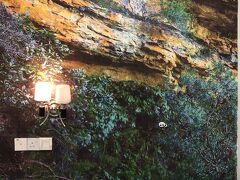 レイン フォレスト ホテル 写真