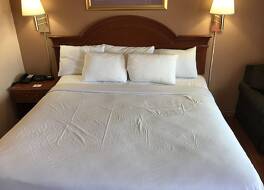 アメリカズ ベスト バリュー イン ユージーン 写真