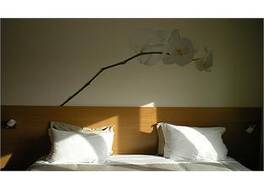 Sintra Sol - Apartamentos Turisticos 写真