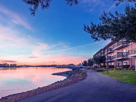 エグゼクティブ イン ＆ スイーツ オークランド 写真