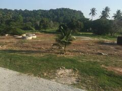 サイー ハー イン 写真