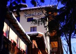 Hotel Seehof Arosa 写真