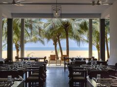 ジェットウィングブルー 写真