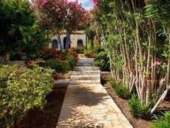 CHC コルヴィナ ビーチ ホテル 写真