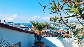 アンザック ゴールデン ベッド