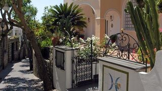 シーナ フローラ