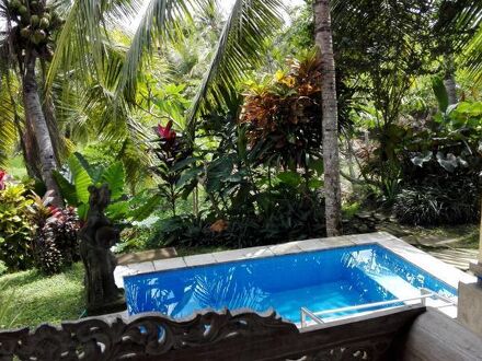 ワンダー ランド ヴィラ 写真