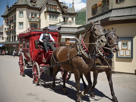 モン セルヴァン パレス 写真