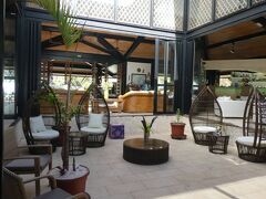 パラディ ダウベア 写真