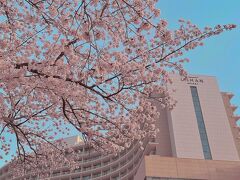 ラハン セレクト ギョンジュ 写真