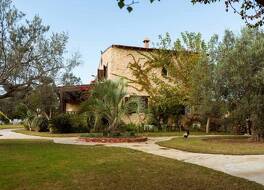 ミュージズ ハマメット 写真