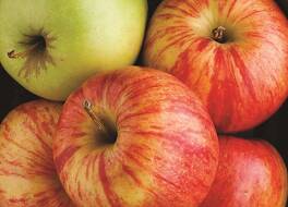 ラ キンタ イン & スイーツ バイ ウィンダム ボーリング グリーン 写真