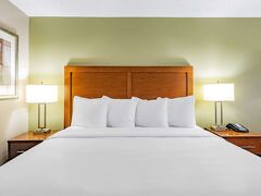 ベイモント バイ ウィンダム ガーニー 写真