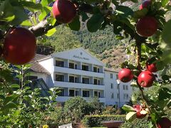 フレトハイム ホテル 写真