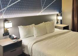 コンフォート スイーツ シンプソンビル - グリーンビル 写真