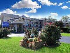 ベイモント バイ ウィンダム セバービル ピジョン フォージ 写真