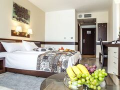 Grami Hotel Sofia 写真