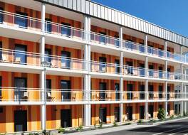 ゴールデン チューリップ ポルニック 写真