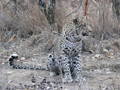 アハ マカラリ プライベート ゲーム ロッジ 写真