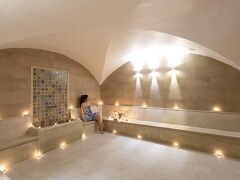 ホテル コンコルド レ ベルジュ デュ ラック 写真