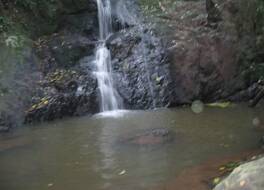 クラウズ メープルトン 写真