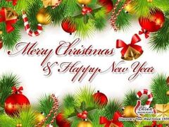 Littleadems View 写真