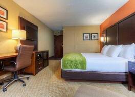 コンフォート イン & スイーツ エバンズビル エアポート 写真