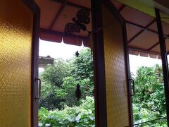 ルーフ ビュー プレイス 写真