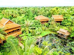 メイソンズ ワット コ 写真