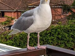 サマーフィールズ ハウス 写真