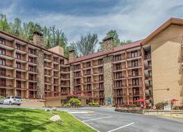 クオリティ イン & スイーツ ガトリンバーグ ノース