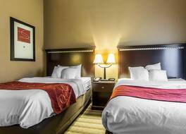 コンフォート スイーツ スマーナ ナッシュビル エリア 写真