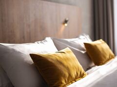 オレア コングレス ホテル ブルノ 写真