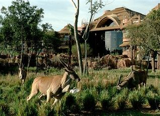 ディスニーズ アニマル キングダム ロッジの宿泊予約 料金比較 フォートラベル Disney S Animal Kingdom Lodge オーランド