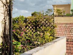 Attico Partenopeo 写真