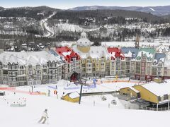 ソメ デ ネージュ 写真