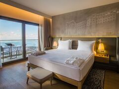 ラディソン ブル ホテル トラブゾン 写真