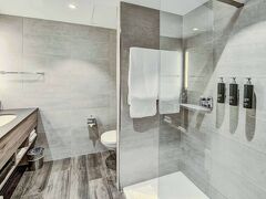 ヒルトン ガーデン イン ウィーナー ノイシュタット 写真