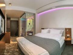 プロ ヴロツワフ スタレ ミャスト 写真