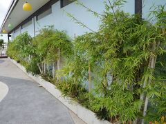 アヤ ブティック ホテル 写真