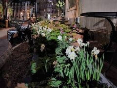 Frederick Stearns House historic inn 写真